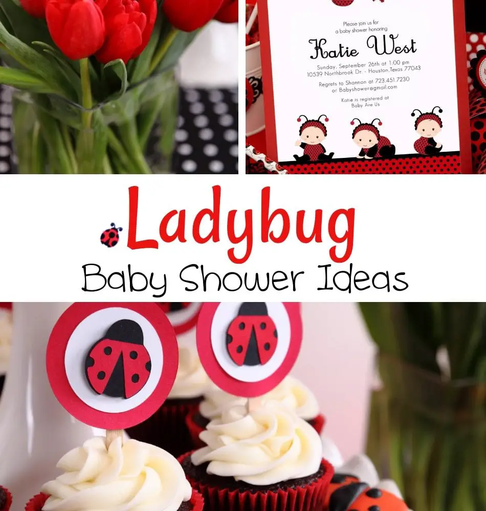 ladybug-baby-shower-ideas