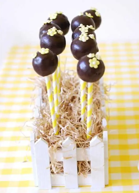 Rubber Ducky Baby Shower Cake Pops - PinkDucky.com